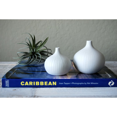Ensemble de 2 vases de table en porcelaine Mariana