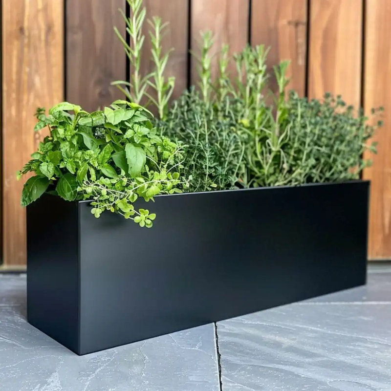 Reny Galvanised Zinc Trough Planter, Black, 60cm H x 60cm W x 60cm D