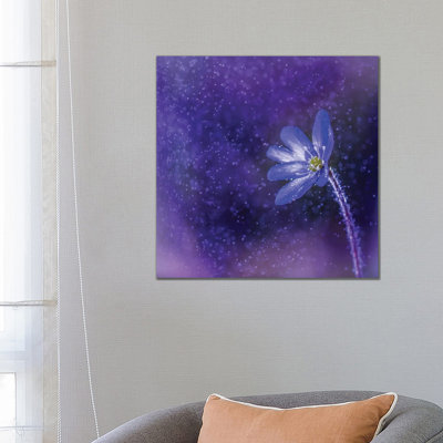 Flower In The Rain by Lauri Lohi - Wrapped Canvas Painting