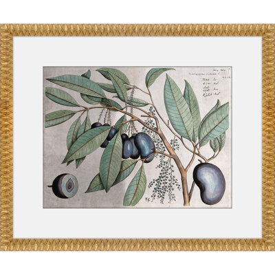 Martha Stewart Bedford, art mural en papier, «Orchard Botanical: Plum Branch», 17,75 po x 21,75 po, décor de salon et de chambre à coucher, encadré