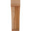 Attelle impériale du genou-29309856-31229279-31229341