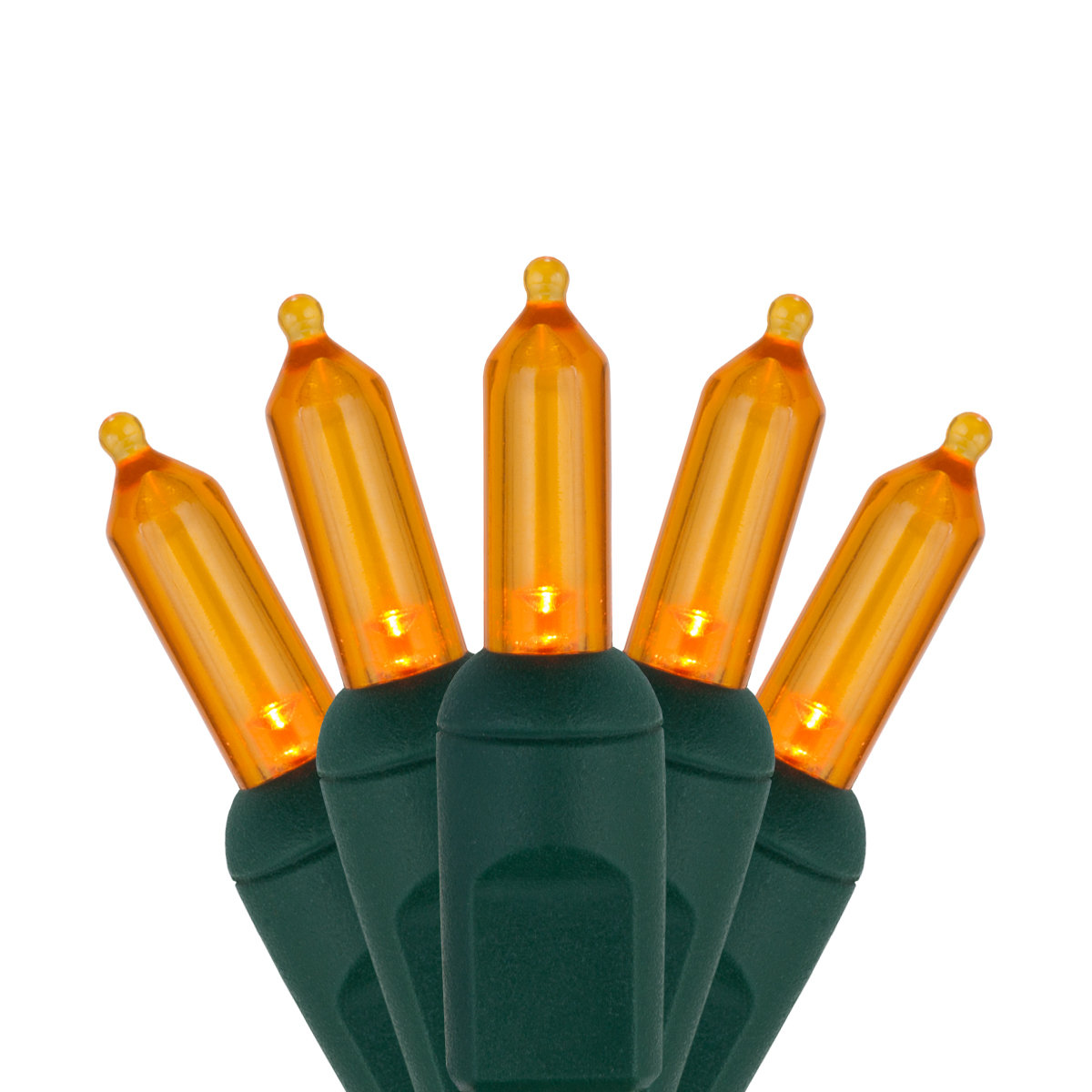 25.5' Steady LED String Lights, Orange