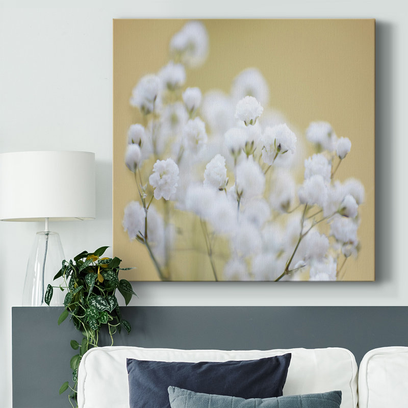 Baby's Breath Study III-Gallery Wrapped Canvas, H 40 po x l 40 po
