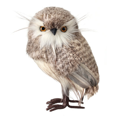 Hibou debout
