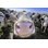 Adorable vache sur un champ regardant avec intérêt dans une caméra - Photographie sur toile tendue
