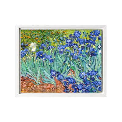 Van Gogh - Irises No1