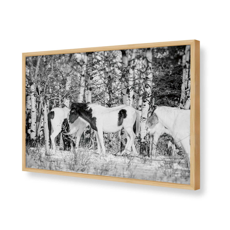 «Winter Herd» par Nathan Larson, reproduction d'art, H 32 po x l 48 po, Tanné