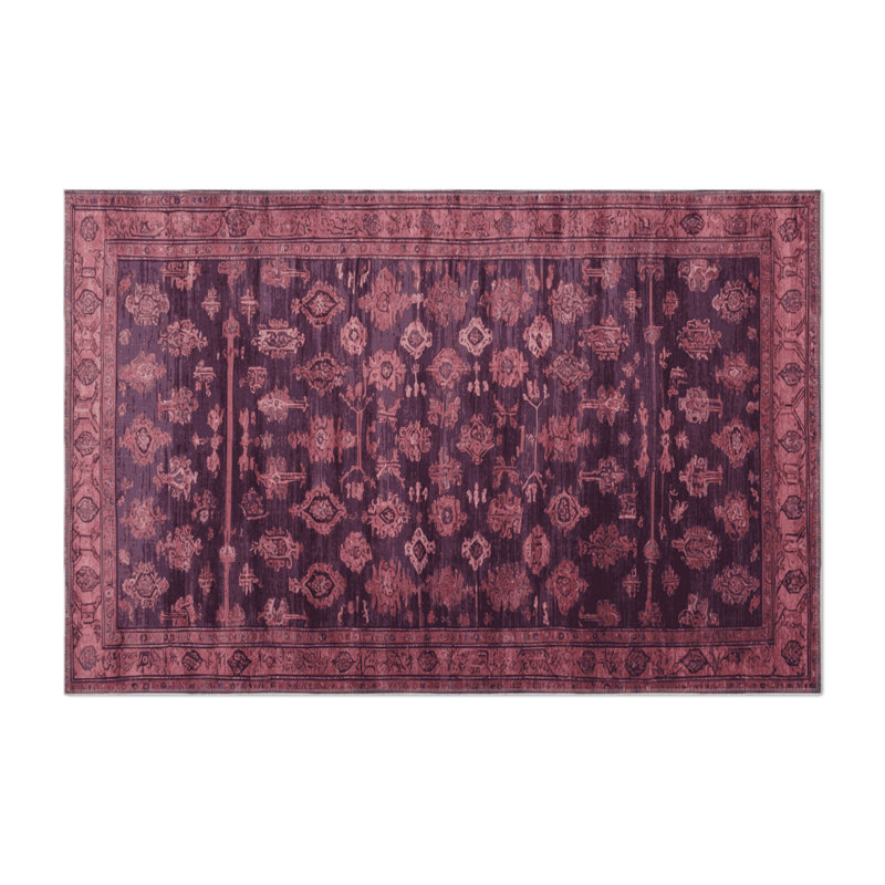 Tapis intérieur et extérieur brun Overdyed, Rectangulaire 3 pi x 5 pi