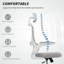 Mesh Office Chair-634857189