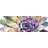 Multicolored Succulent - Framed Matted Print for Home Decor