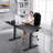 Adjustable Steel Standing Desk Converter
