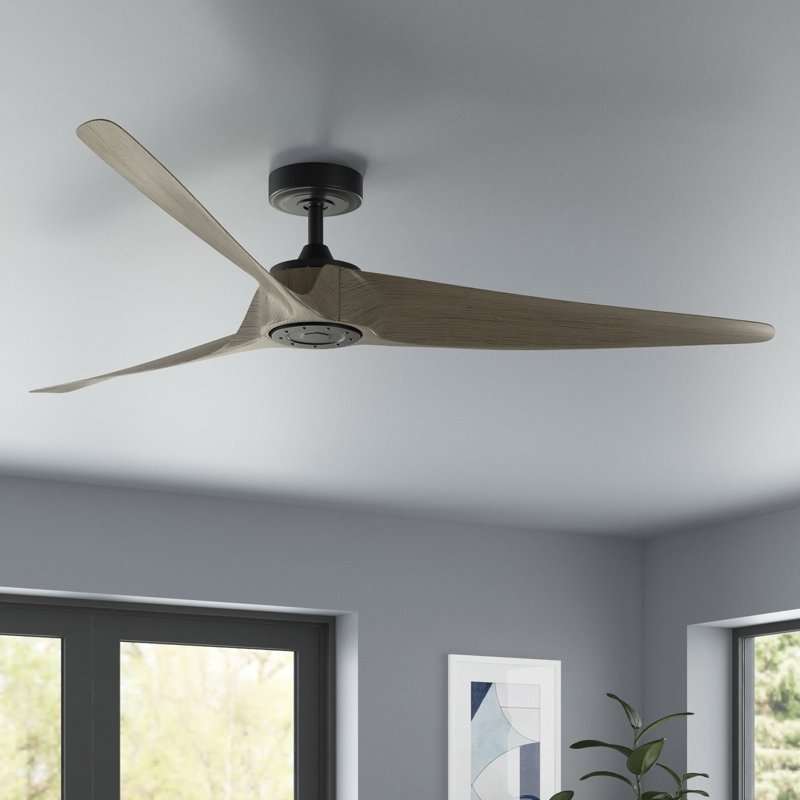 Oreland 60'' Ceiling Fan, Matte Black