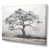 Toile tendue sélectionné
