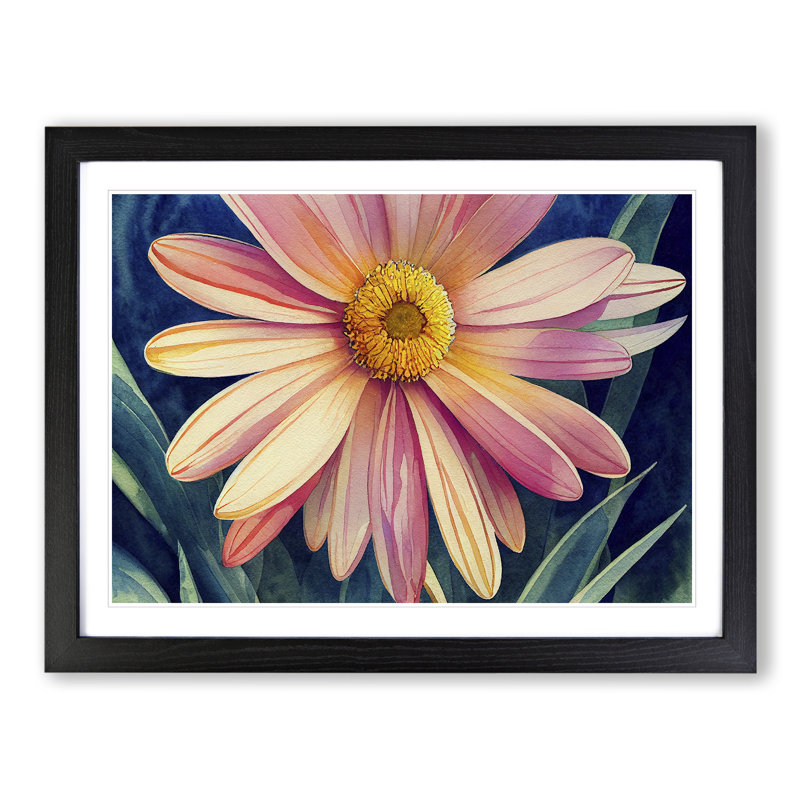 Watercolour Daisy Flower Vol.3 - Single Picture Frame Print, 25cm H x 34cm W x 2cm D, Black Framed