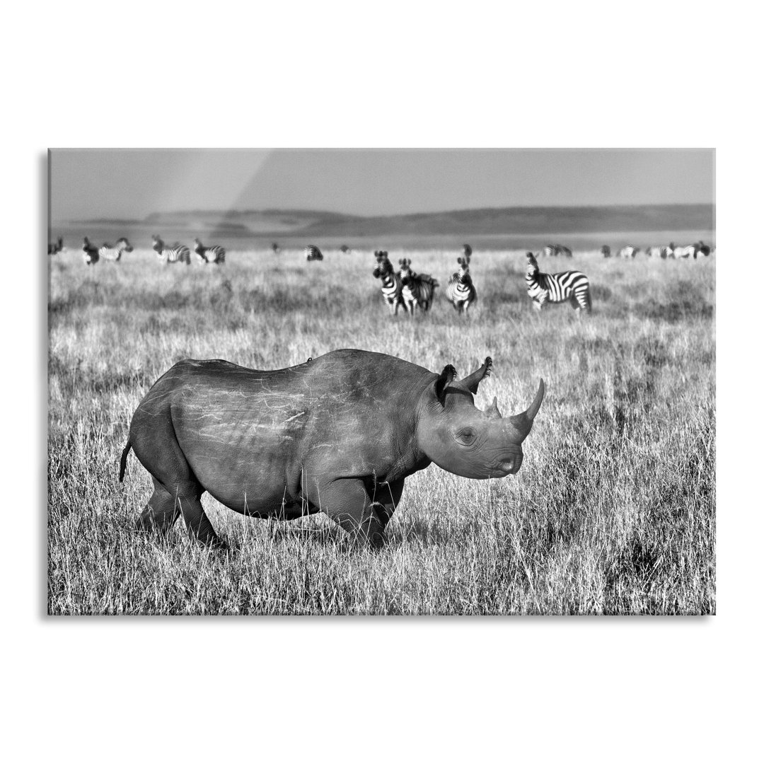 Glasbild Großes Nashorn mit Zebrahorde