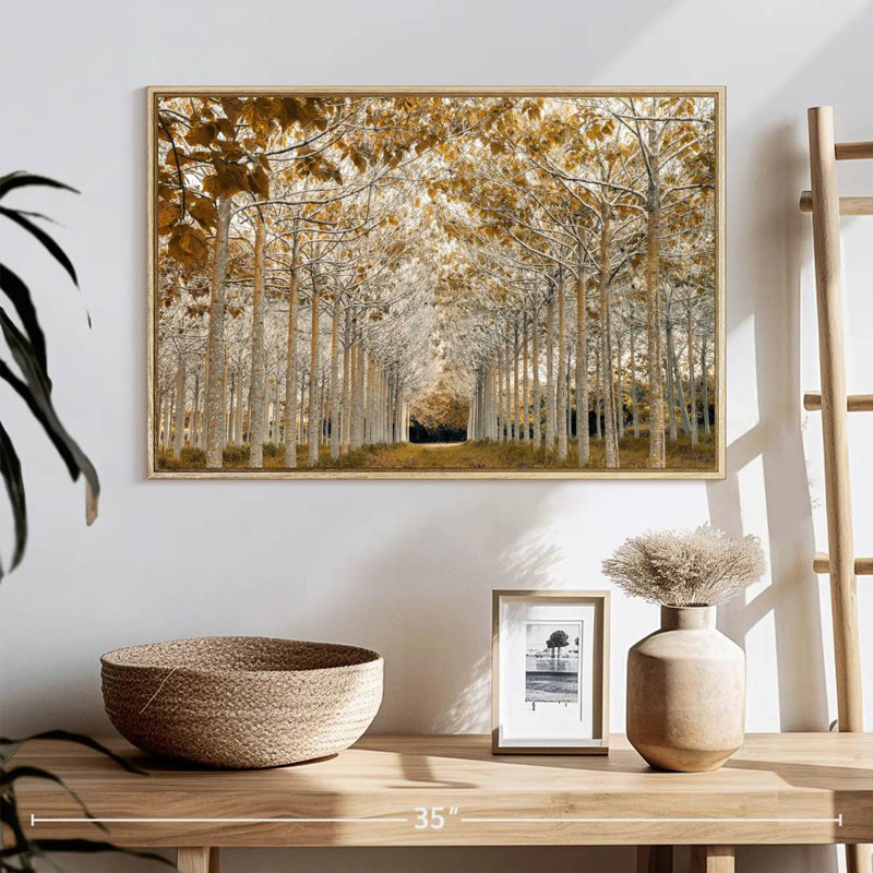 Or blanc, Cadre flottant en bois naturel, 25 po x 17 po