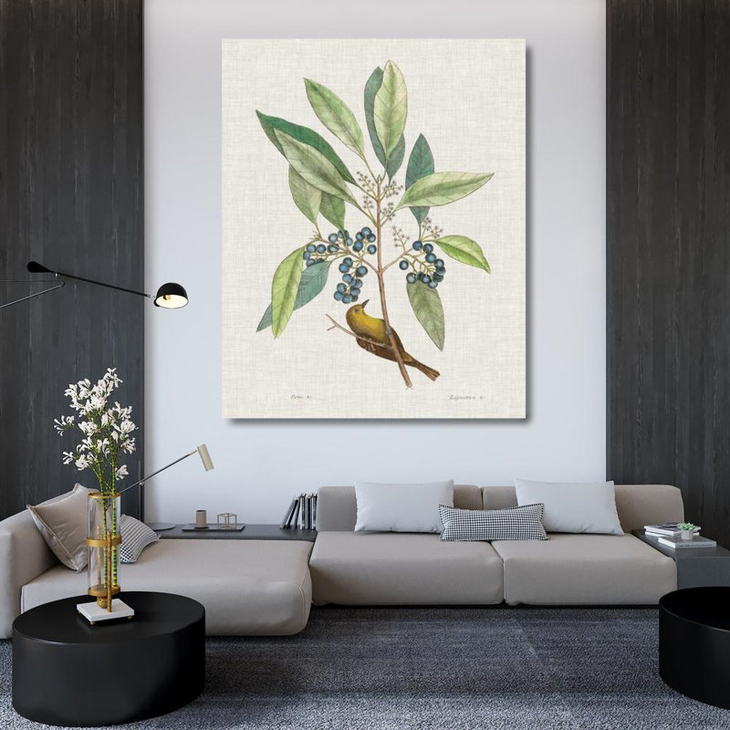 Art Direct Catesby, Mark, reproduction d'art sur toile tendue, Études dans la nature IV, H 44 po x l 36 po