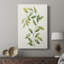 Wilted Vine II - galerie sur mesure-335365075