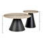 2 - Piece Living Room Table Set