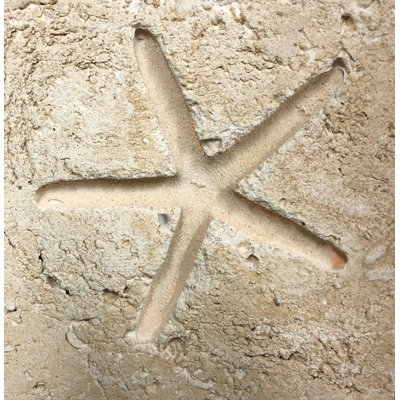 6'' x 6'' Compressed Stone Medallion