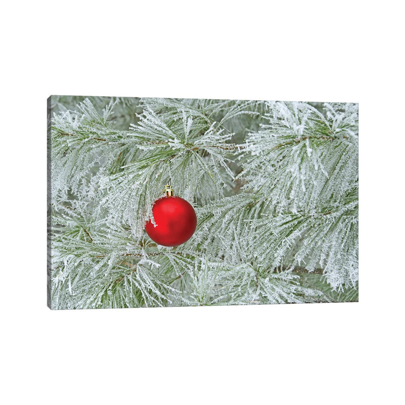 Red Ornament And Rime Frost by Brian Wolf - Gallery-Wrapped Canvas Giclée on Canvas, No Frame, 20.32 cm H x 30.48 cm W