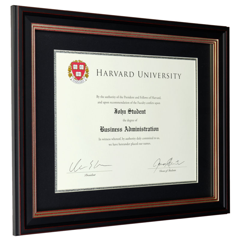 Blakes Wood Beveled Picture Frame with Mat, Black/Rose Gold