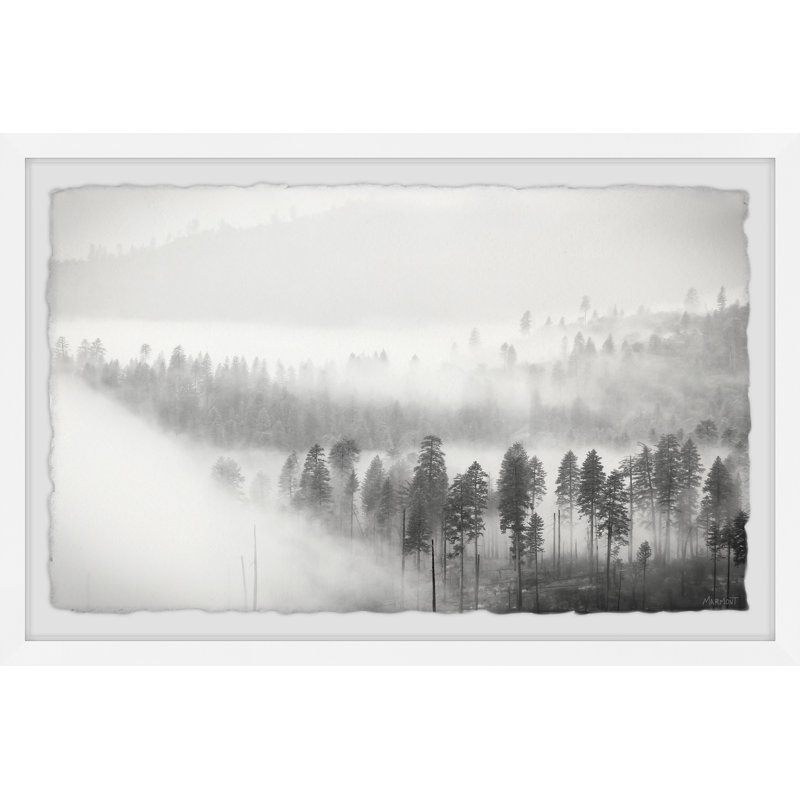 Foggy Scenery - Single Picture Frame Print, 41cm H x 61cm W x 3.81cm D