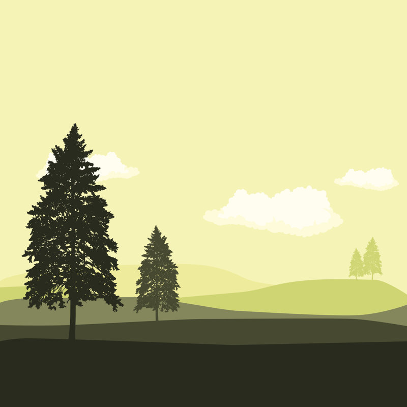 Misty Pines by Filo - Wrapped Canvas Print, 30cm H x 30cm W