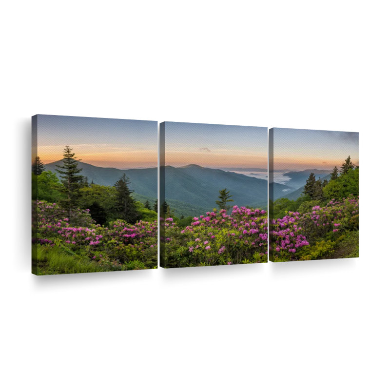 Ensemble de 3 pièces vue sur toile Blue Ridge Mountains, H 27 po x l 56 po x P 1,25 po