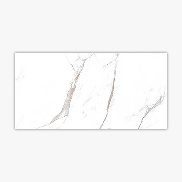 Calacatta 24" x 48" Porcelain Marble Look Wall & Floor Tile