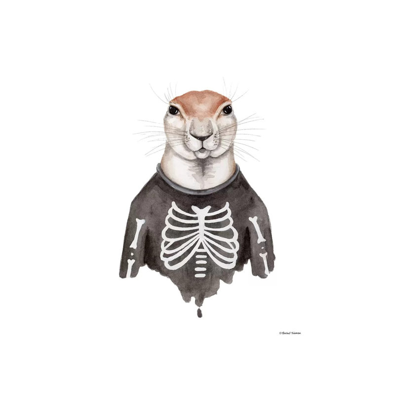Xerus In An Xray Shirt by Rachel Nieman - Gallery-Wrapped Canvas Giclée on Canvas, Canvas, 20.32 cm H x 30.48 cm W