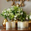 L'Ansecoy Glass Scented Jar Candle