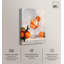 Impression sur toile «Fizzy Drink II» par Art Remedy-119320257-119320259