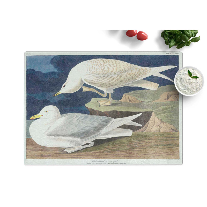 Tempered Glass Winged Silvery Gull by John James Audubon Chopping Board, 39 cm x 28.5 cm