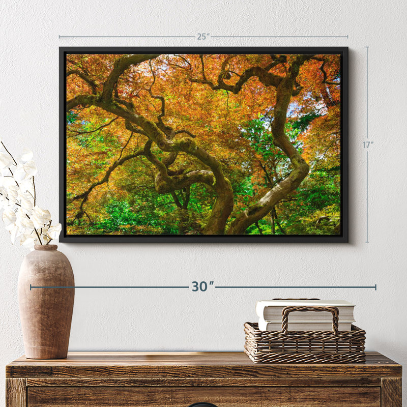 Mossy Maple Tree Canvas Print, 17" H x 25" W