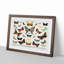 Butterflies & Moths - Picture Frame Graphic Art Print-55512929-55512928