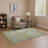 Premium Machine Washable Jakiyra AMF1889 Abstract Rug/AMF1889GE-866856979