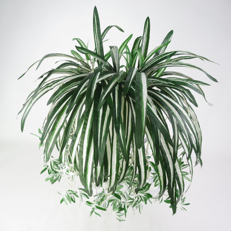 62 cm H Faux Plant