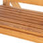 2 Person Pine Porch Swing with Canopy