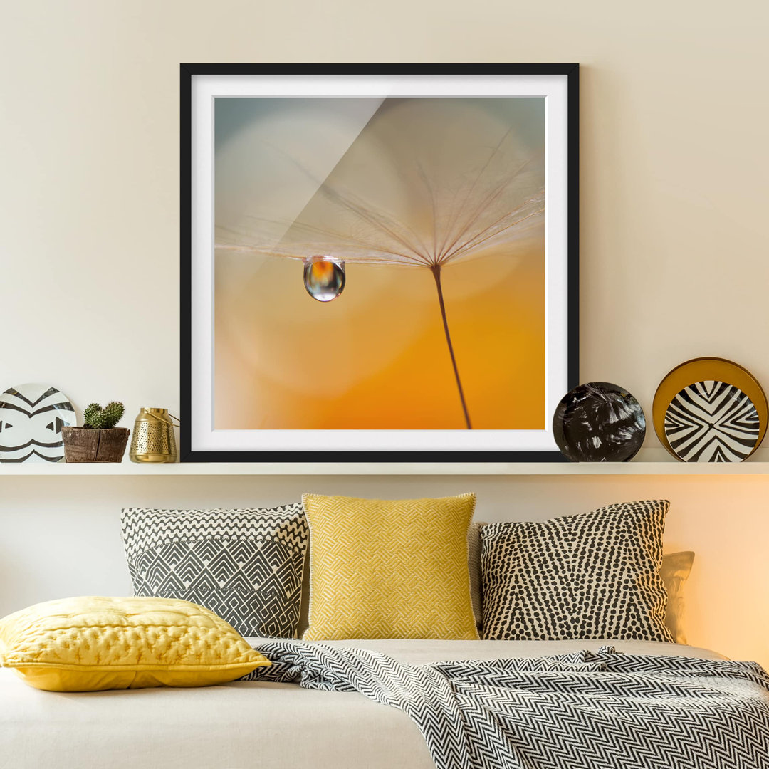 Gerahmtes Papierbild Pusteblume in Orange