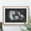 Lone Horse - Picture Frame Graphic Art-62802571-62802574