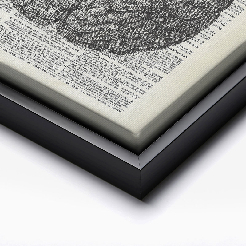 Human Anatomy Brain, Black Framed, Canvas, 18"H x 24"W