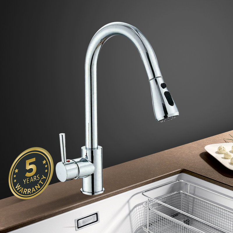 Belfry Kitchen Fitzgibbons Pull Out Kitchen Faucet