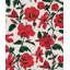 Hibiscus Haiti Flower Wallpaper-101110642