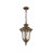 Ahtziry 3 - Light Outdoor Hanging Lantern-215406789-215406788