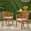 Chaises de salle à manger d'extérieur en bois avec coussins, ensemble de 2, crème, finition teck-973143074