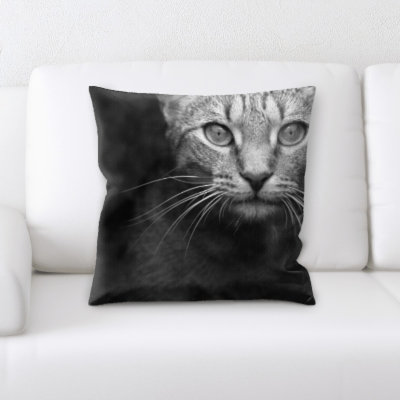 Coussin pour chat