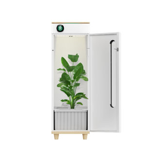 Hey Abby Hydroponic Unit