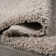 Anttwan Solid Shag Light Beige Rug