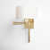 Kevyn Steel Swing Arm Sconce